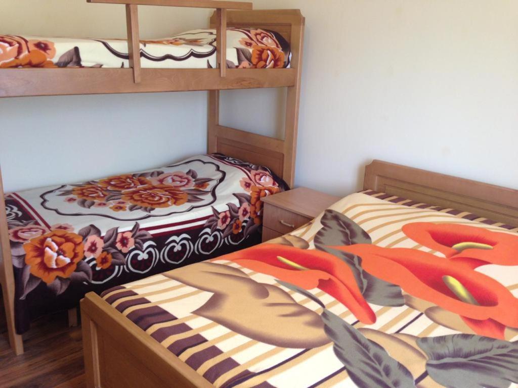 Alpbes Theth Guesthouse Shkodër 部屋 写真
